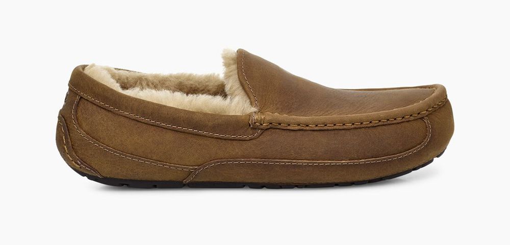 Ugg Ascot - Mens Slippers - Brown - NZ (8432AONLT)